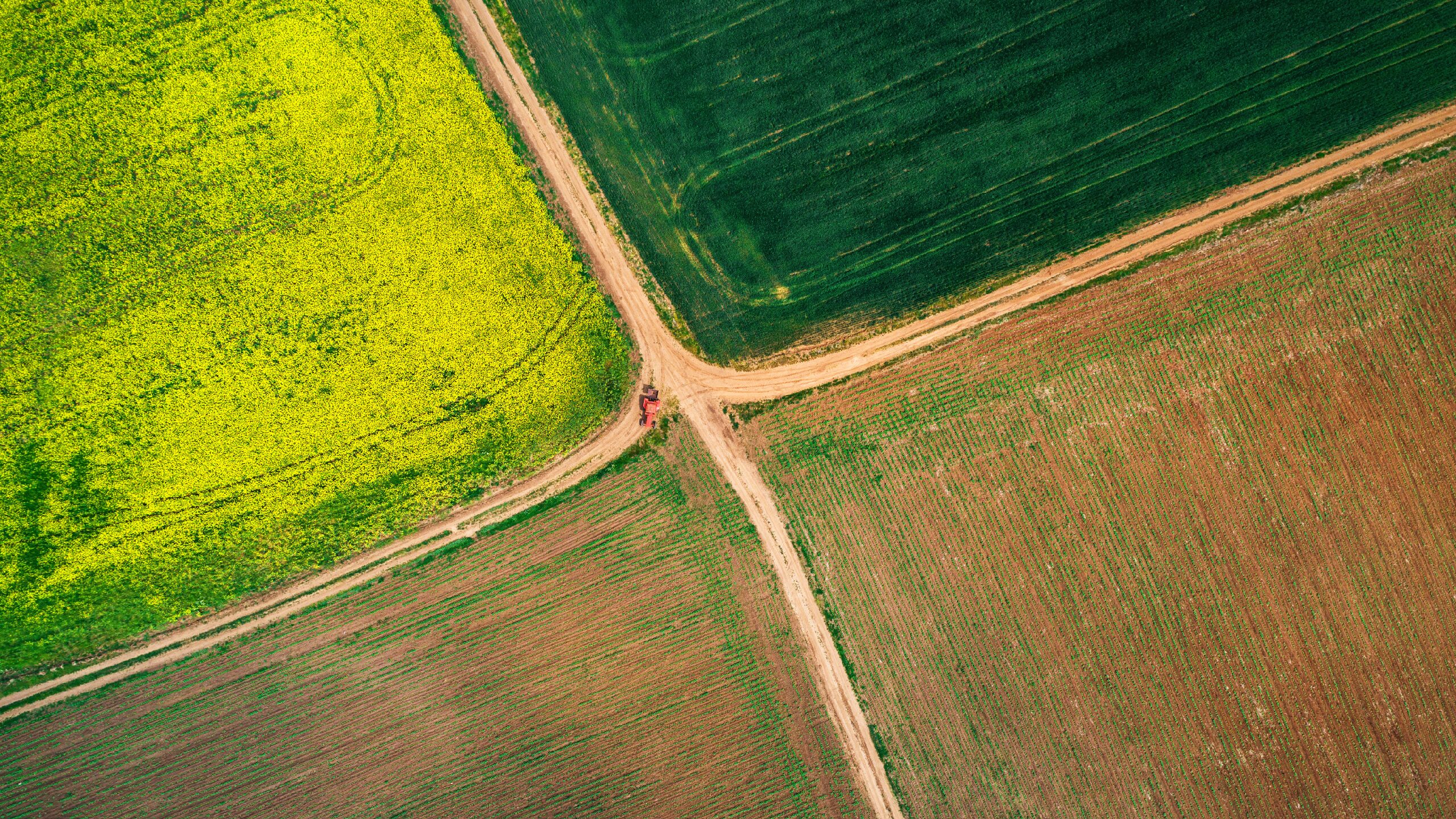 7 Ferramentas Essenciais para Análises Geoespaciais no Agro